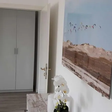 Deichblick-spo سانكت بيتر اوردنغ